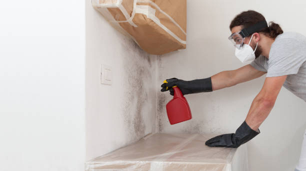 Professional Mold Remediation technician working in Franklin, NC