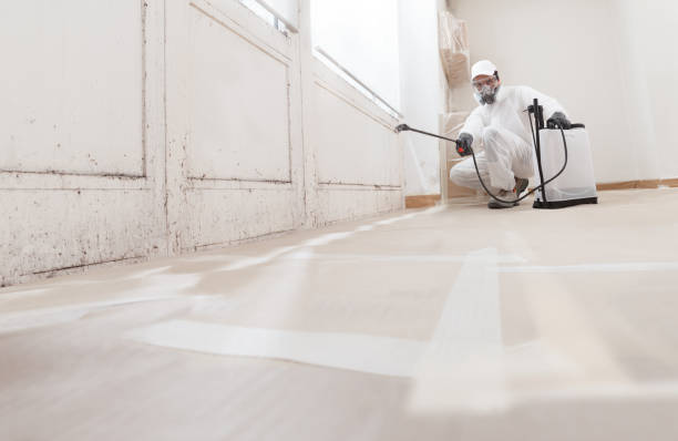 24/7 Emergency Mold Remediation experts in Franklin, NC