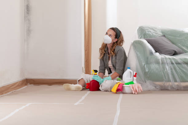 Reliable Mold Remediation contractor in Franklin, NC by Mold Remediation HQ
