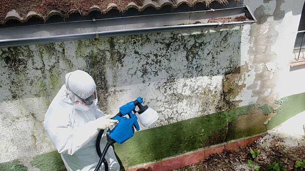 Top rated local Mold Remediation specialists in Franklin, NC